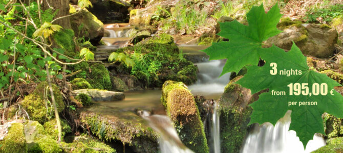 Treat your mind and body to a timeout Treat your mind and body to a timeout