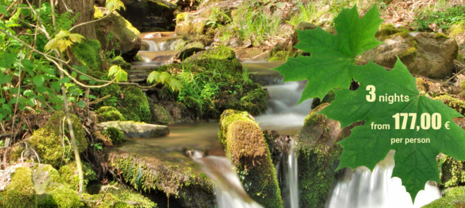 Treat your mind and body to a timeout Treat your mind and body to a timeout