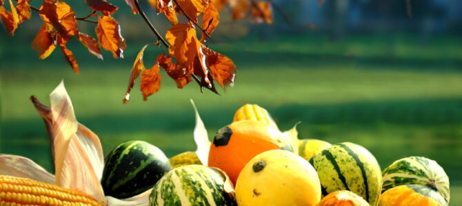 Tasty pumpkin variations Tasty pumpkin variations