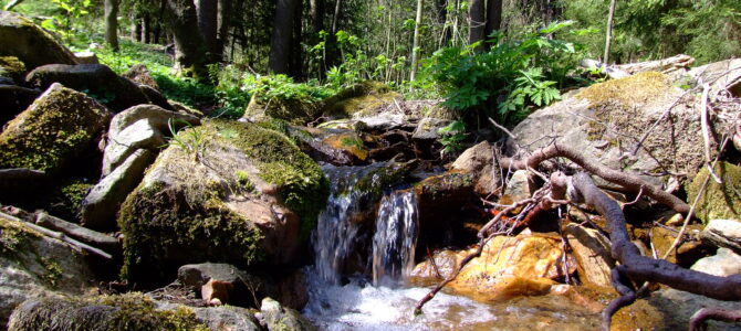 Kurzurlaub im Sauwald Kurzurlaub im Sauwald