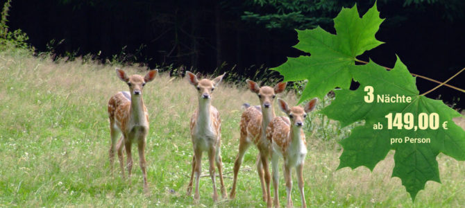Kurzurlaub im Sauwald Kurzurlaub im Sauwald