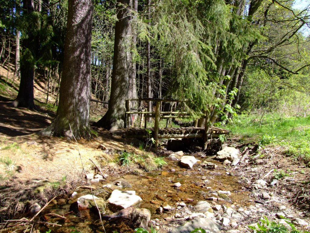 Kleine Brücke über einen Bach im Wald