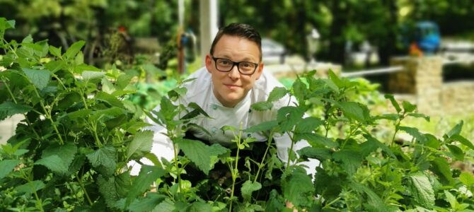 Sommer im Sauwald mit Wildkräuter Sommer im Sauwald mit Wildkräuter