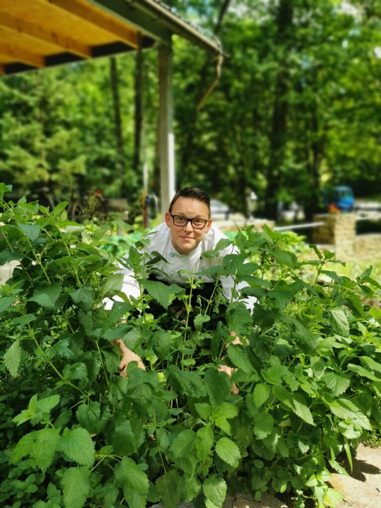 Im Kräutergarten