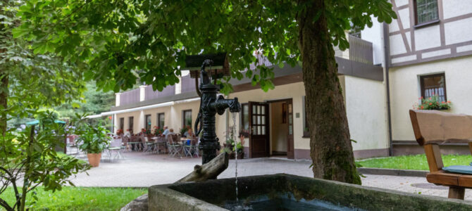Sommer – Sonne – Sauwald mit frischen Pfifferlingen Sommer – Sonne – Sauwald mit frischen Pfifferlingen